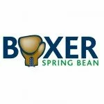 Boxer 