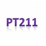 PT211